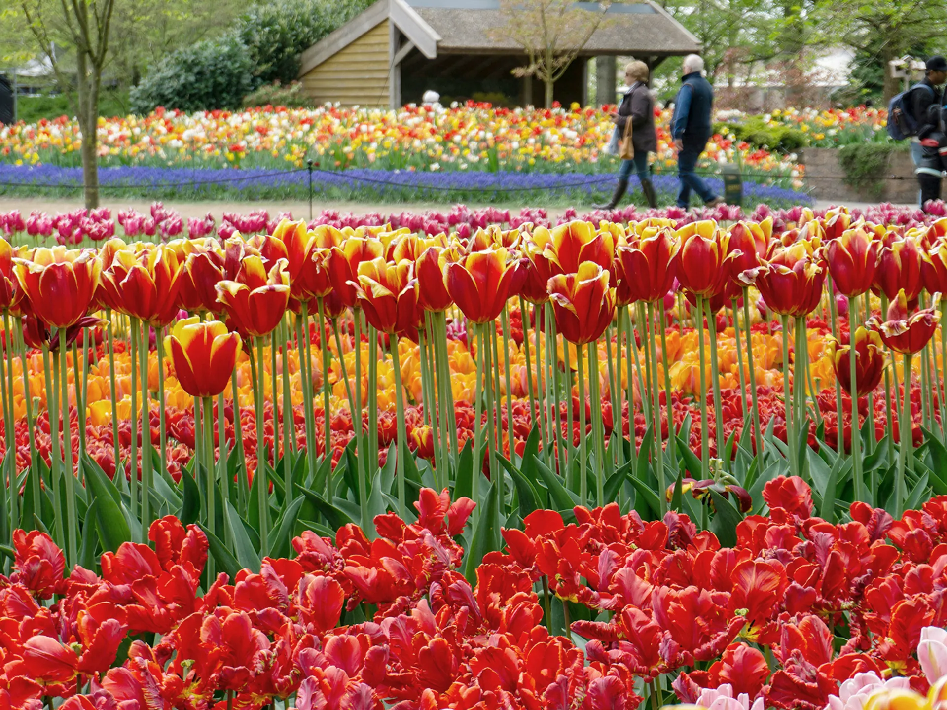 Jardines de Keukenhof, Países Bajos