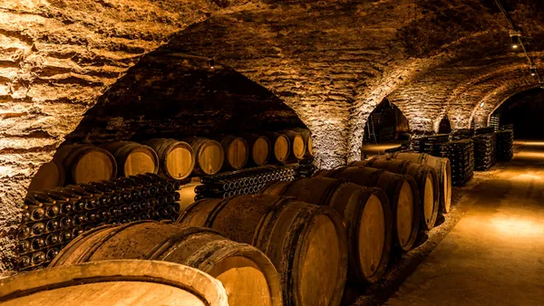 tour Bodegas Madrid excursión Ruta Vino Viñedo
