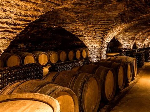 tour Bodegas Madrid excursión Ruta Vino Viñedo