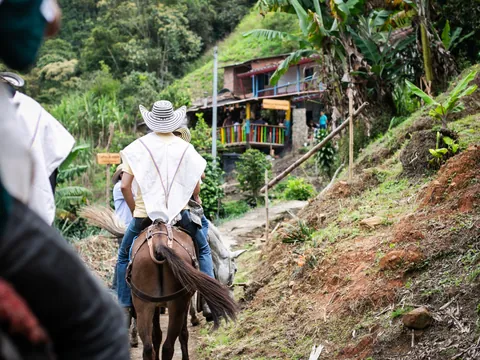 Excursión del café en Colombia desde Medellín