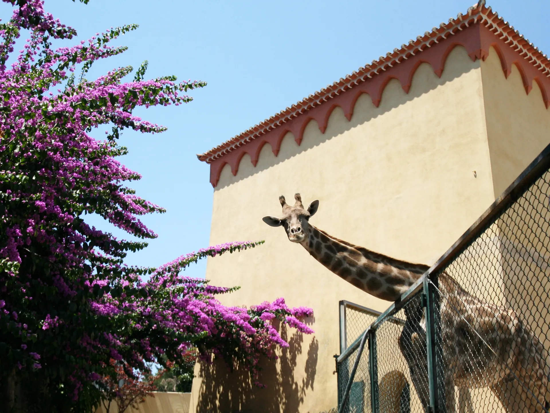 Disfruta con los más pequeños del Zoo de Lisboa-Guía de Viaje Lisboa