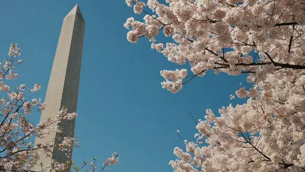 Obelisco de Washington entre cerezos en flor, Washington D.C., Estados Unidos