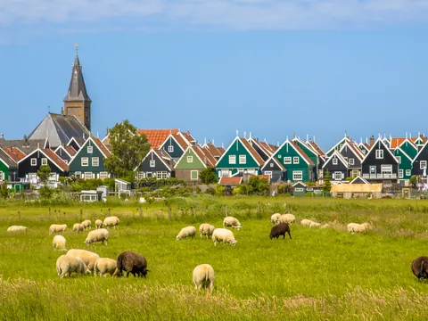 excursión privada Molinos Zaanse Schans Edam Volendam Marken visita guiada en español tour a la Carta Transporte privado Países Bajos