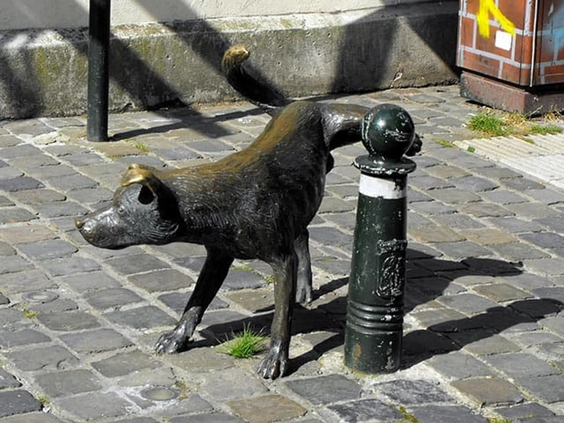 Escultura del Zinnke Pis en Bruselas-Perro meón Bruselas