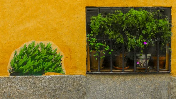 Decoración de paredes con plantas dibujadas, un ejemplo del street art de este free tour.