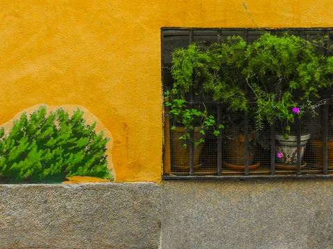 Decoración de paredes con plantas dibujadas, un ejemplo del street art de este free tour.