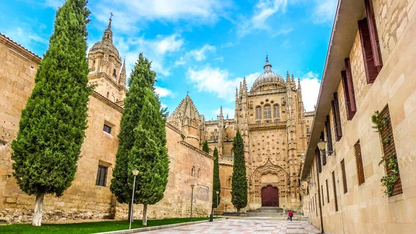 tour Pie privado visita privada Salamanca Castilla León