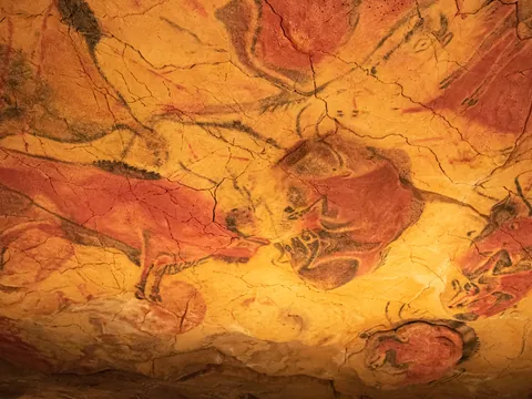 Visita guiada por el Museo de Altamira y la Neocueva