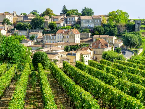 Excursión a Sint-Émilion con visita a la iglesia monolítica y cata de vinos
