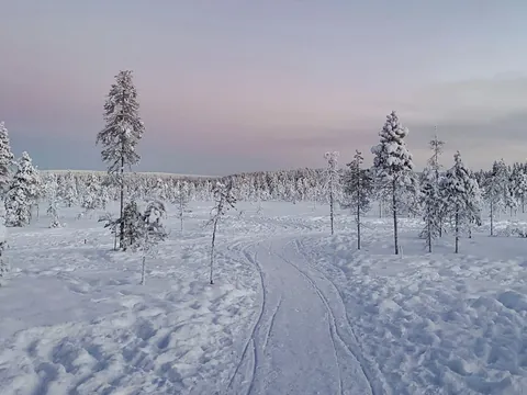 Sendero nevado que atraviesa un bosque de árboles cubiertos de nieve, bajo un cielo claro con tonos rosados y azules.