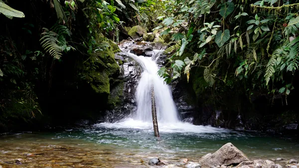 excursion-mindo-cascadas-nambillo_0.jpg