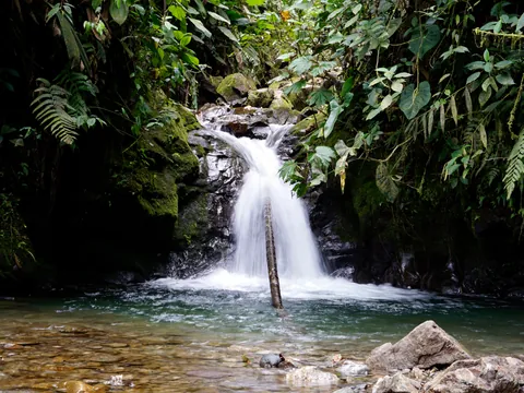 excursion-mindo-cascadas-nambillo_0.jpg