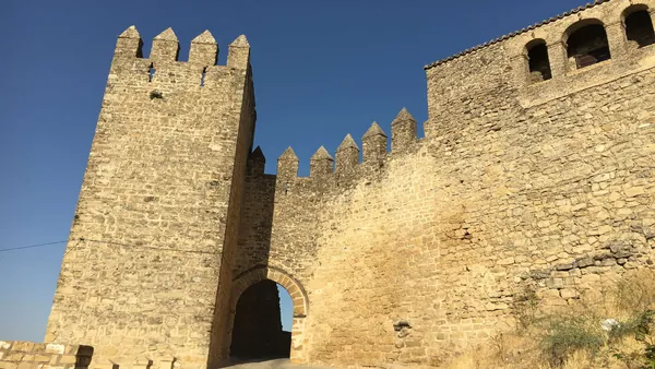 visita guiada Castillo Sabiote entradas Jaen