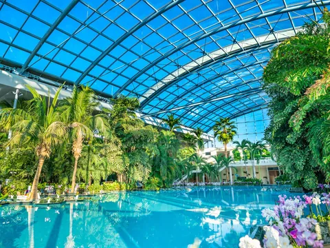 Excursión a las termas con entrada desde Bucarest