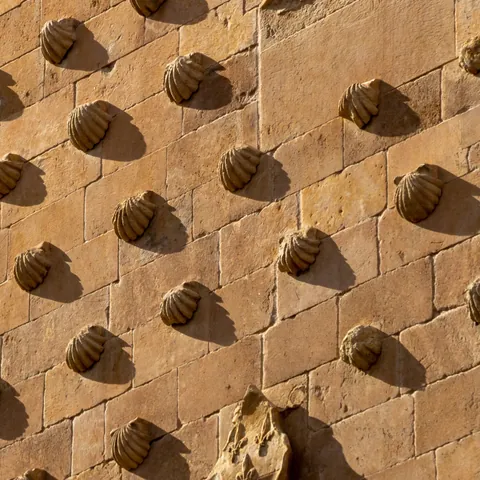 Detalle fachada casa de las Conchas