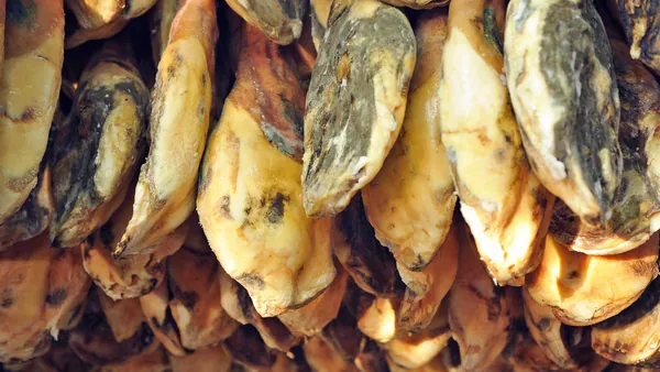 tour Cerdo Iberico Sierra Huelva Aracena Puerto Gil Huelva