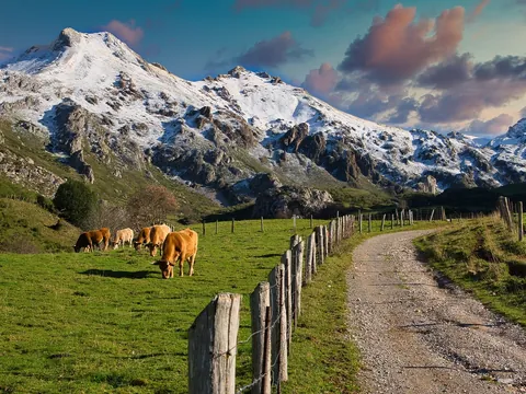 Parque Natural de Somiedo