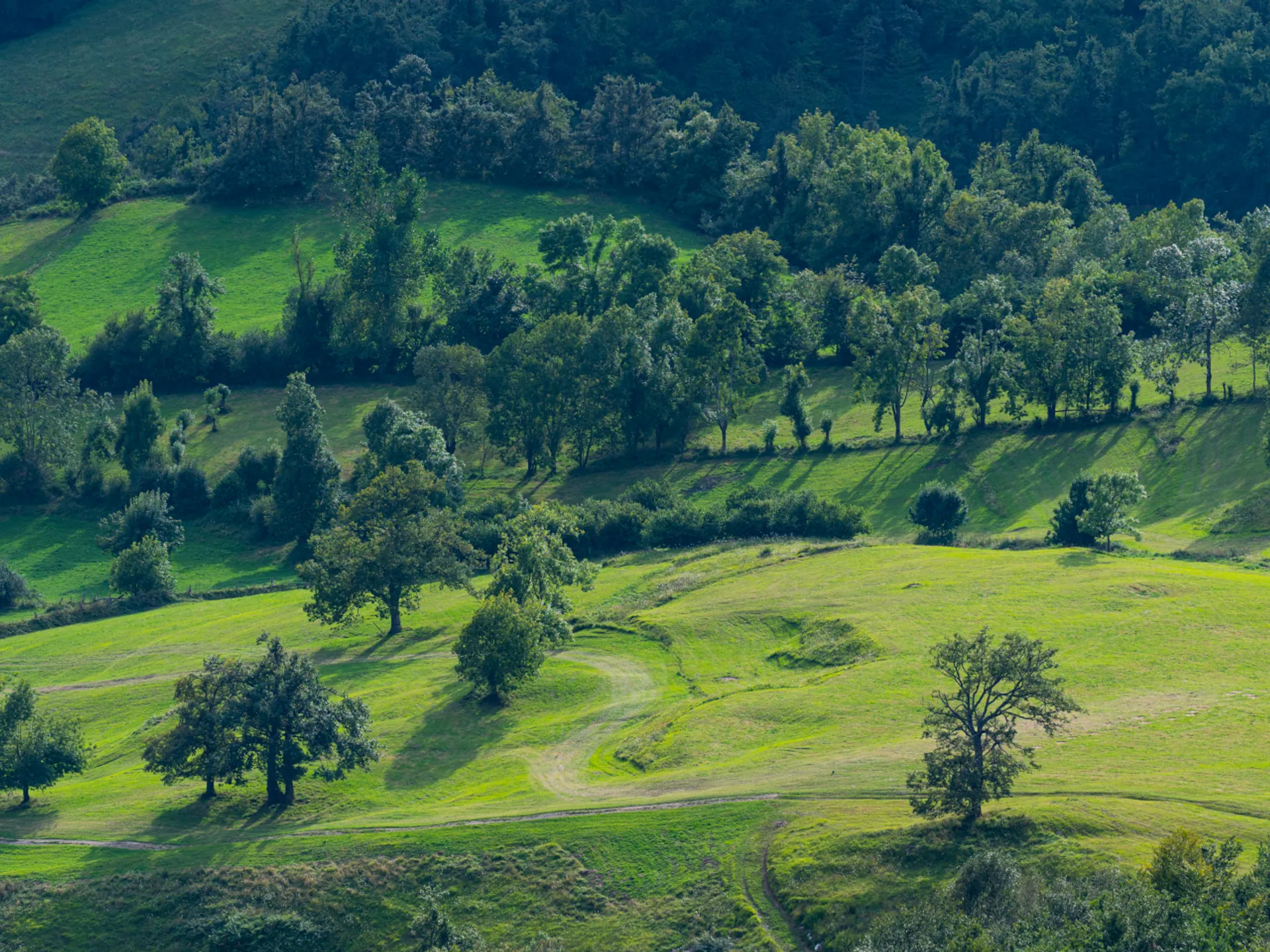 Vistas desde el Gamoniteiro - Alto del Gamoniteiro - Blog - Buendía Tours