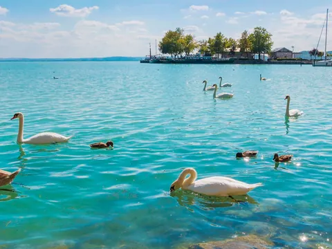 Después de visitar Balatonfüred, la ciudad con el balneario más antiguo en Hungría, pasearemos por el famoso paseo y daremos de comer a los cisnes.