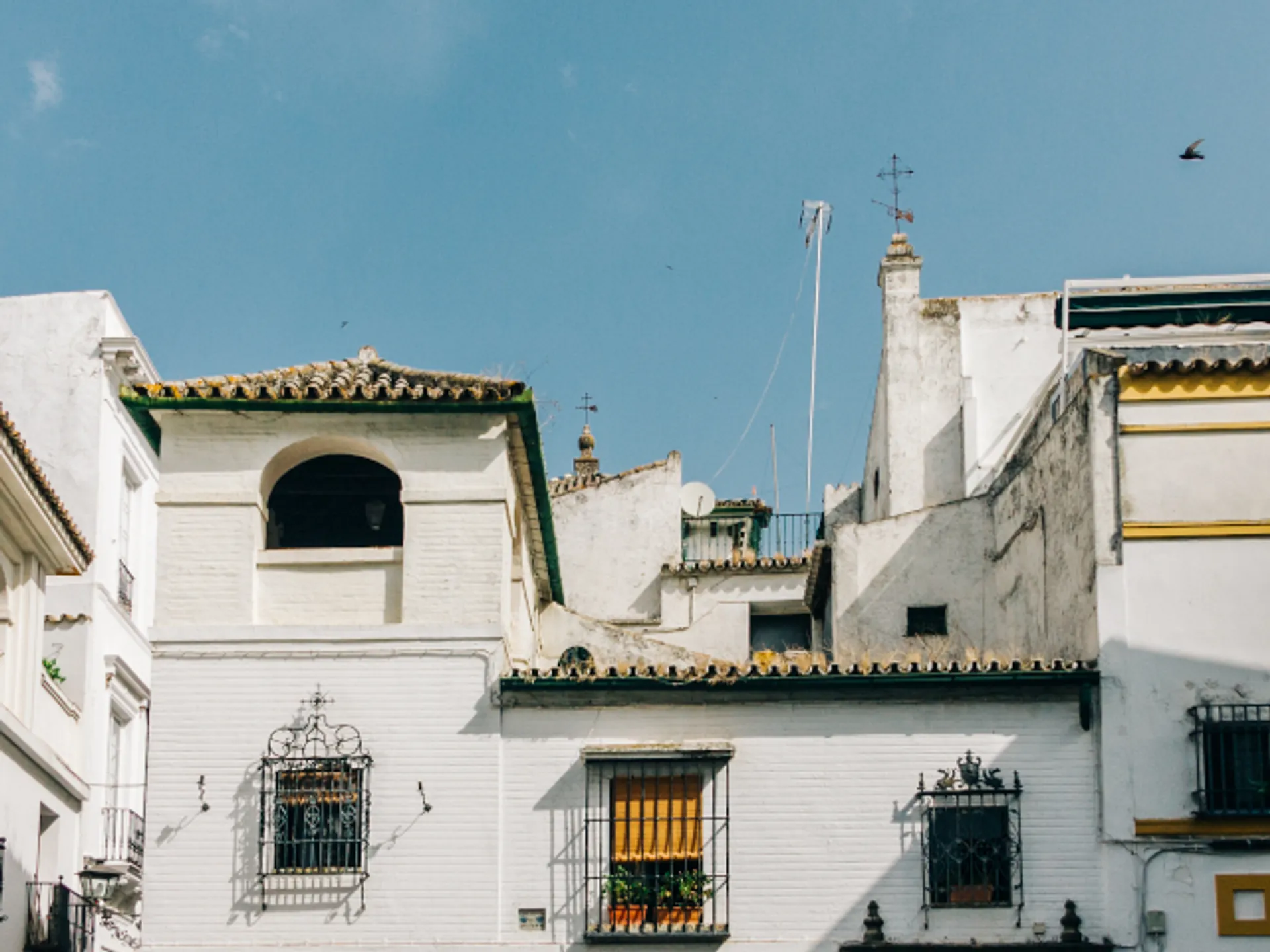 Plaza Alfaro - Qué ver en Sevilla - Guía de viaje Sevilla - Buendía Tours