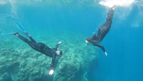 Snorkel Lavas Sumergidas Tenerife Buceo Canarias