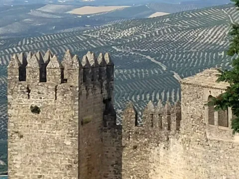 Visita guiada del Castillo de Sabiote