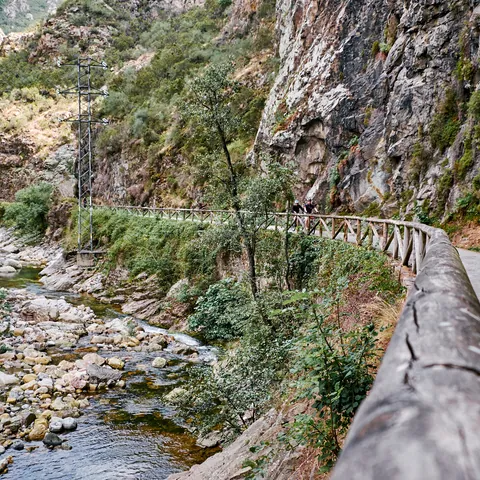 Senda del Oso, Proaza, Asturias