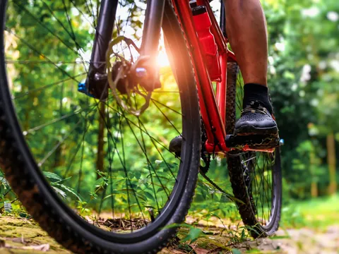 Tour en bicicleta por la Vía Verde de la Gándara