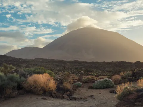Desde Tenerife: Excursión al Teide, Icod, Garachico y Masca