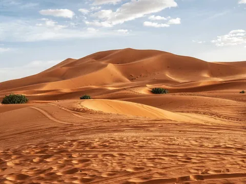 Desde Fex: Excursión de 2 días al desierto de Merzouga