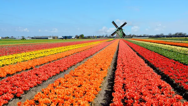 Keukenhof Traslados entrada