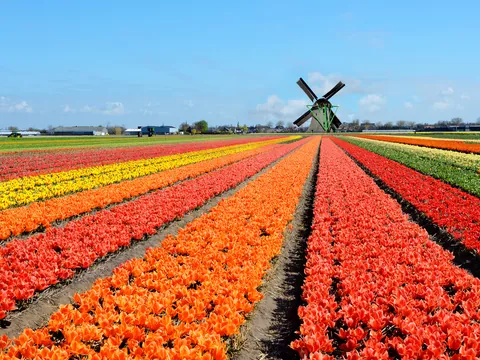 Keukenhof Traslados entrada