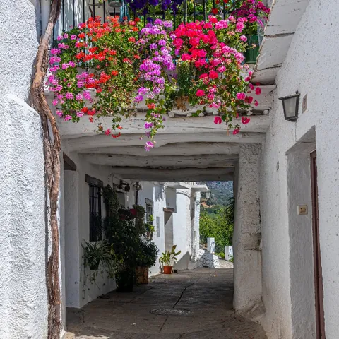 Calle de Capileira - Qué ver en Sierra Nevada - Guía de Viajes Sierra Nevada - Buendía