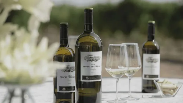 visita Cata Bodega Finca Montepedroso Valladolid Vino Viñedo Enoturismo Castilla León