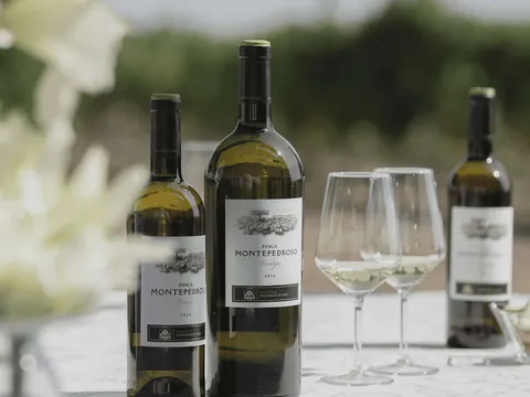 visita Cata Bodega Finca Montepedroso Valladolid Vino Viñedo Enoturismo Castilla León