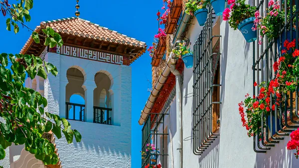 visita guiada Albaicin Sacromonte Espectaculo Flamenco Granada Cuevas excursión