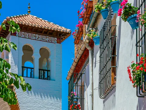 visita guiada Albaicin Sacromonte Espectaculo Flamenco Granada Cuevas excursión