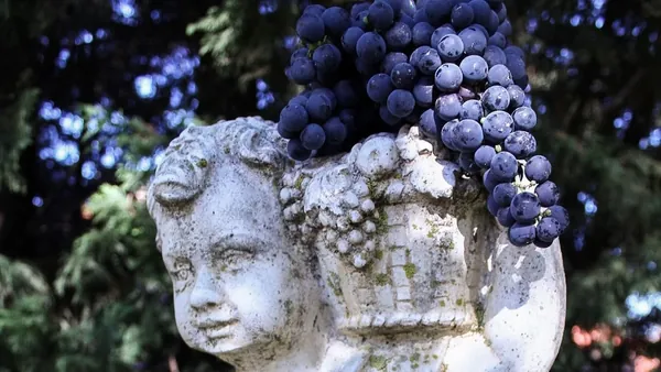 visita guiada Bodega Jilaba Estatua País Vasco