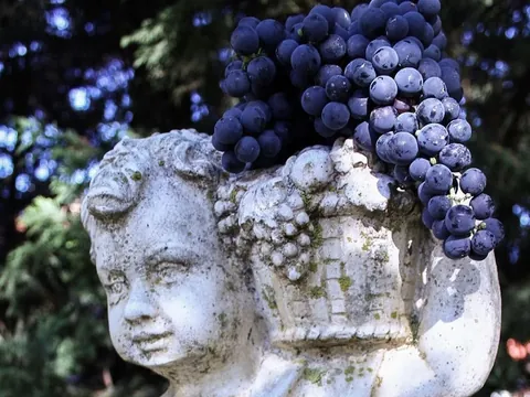 visita guiada Bodega Jilaba Estatua País Vasco