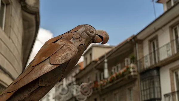 free tour Pontevedra Casco Historico Loro Revachol visita guiada Galicia