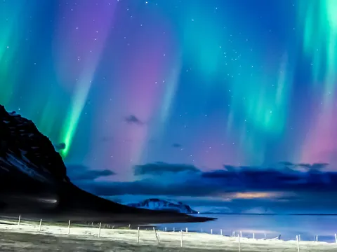 Combinado Avistamiento de Ballenas y Auroras Boreales en barco