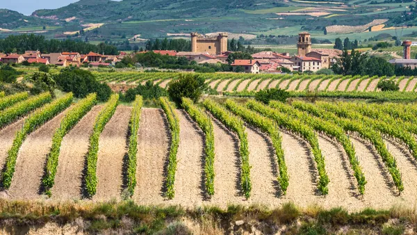 Qué hacer en Navarra entre pueblos medievales, vinos y tradiciones únicas del norte de España