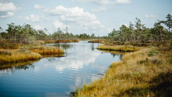 Los pozos y pantanos del Parque Nacional de Kemeri son parte fundamental de esta excursión desde Riga.