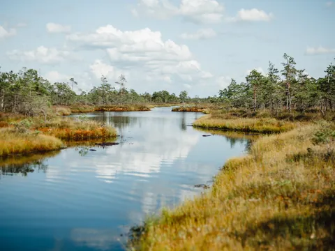 Los pozos y pantanos del Parque Nacional de Kemeri son parte fundamental de esta excursión desde Riga.