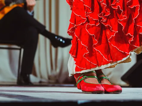 visita guiada Albaicin Sacromonte Espectaculo Flamenco Granada Cuevas excursión