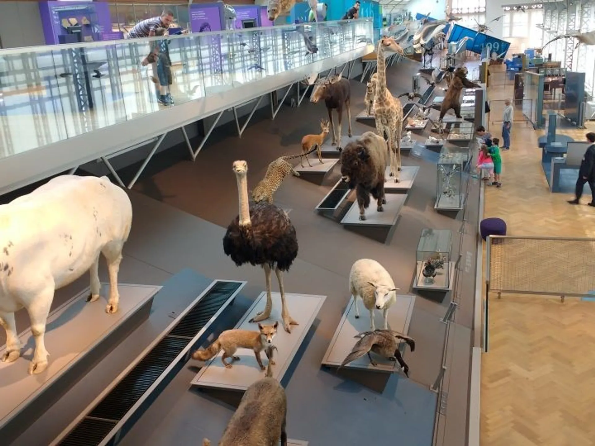 museo-ciencias-naturales.jpg