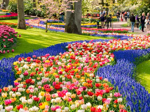 Visitantes entre millones de flores en los jardines de Keukenhof, Países Bajos