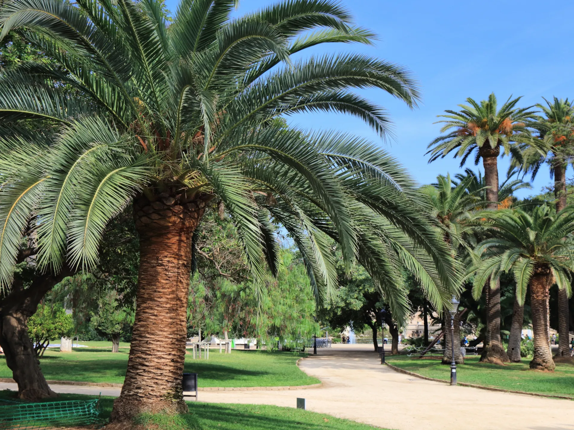 Paisaje del Parque de la Ciutadella - Parque de la Ciutadella de Barcelona - Qué ver en Barcelona - Guía de Viajes Barcelona - Buendía Tours