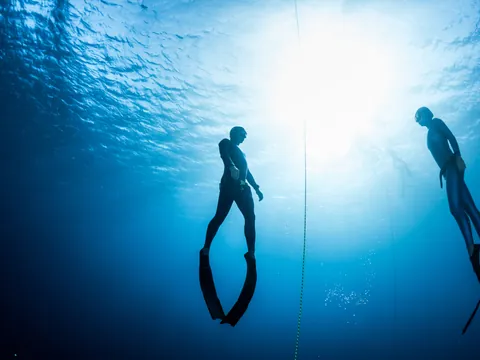 Iniciacion Apnea Tenerife Marina Sur las Galletas freedive Canarias