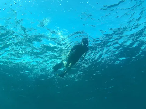 snorkeling-cuba-playas-este.jpg